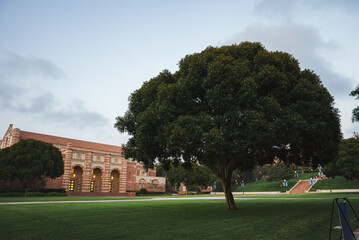 Serene outdoor scene at campus or institutional setting with red brick building, arched windows, large tree, and well manicured lawn. No people visible, tranquil atmosphere. Sky overcast.