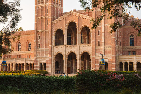 UCLA Bruin Bear on the University of California, Los Angeles, campus. Beautiful view of the life in university.