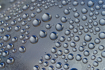 macro-photography of condensed water drops inside a bottle.