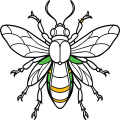 Fototapeta premium Colorful Beetle bug vector illustration. Insect vector art