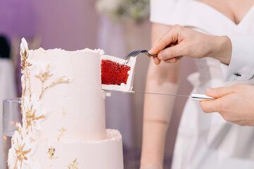 The bride and groom cut a piece of a large and delicious two-tiered cake with a knife. Wedding...