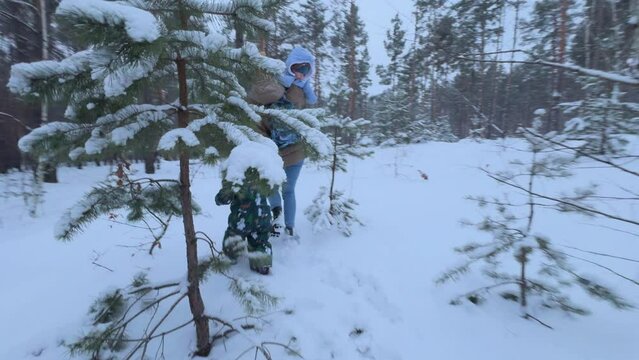 Happy family walk in winter forest. Mother holds child by hand. White snow covered forest. Vacation in snowy nature. Mom spends time with her children.