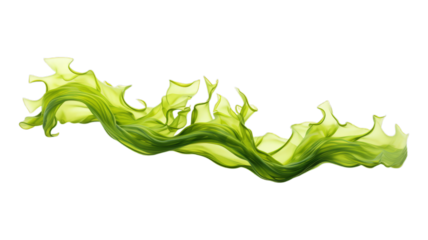 seaweed isolated on transparent png background. Generative ai
