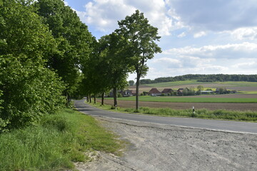 Obraz premium Straße und Landschaft in Wittenburg bei Elze