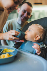 The first pure baby food. Mother gives a spoonful of vegetables in a chair for feeding at home....