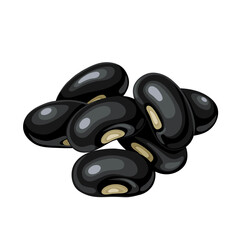 Vector illustration, black beans, scientific name Phaseolus vulgaris, isolated on white background.