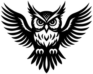 Fototapeta premium An image of a gorgeous owl