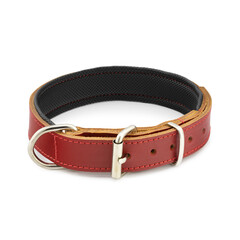 dog collar leather belt