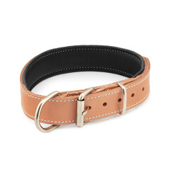 dog collar leather belt