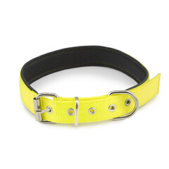 dog collar leather belt