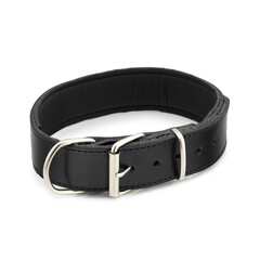 dog collar leather belt