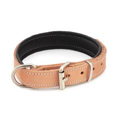 dog collar leather belt