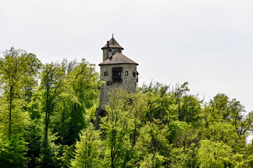 Arlesheim, Burg, Reichenstein, Weinberg, Weinbauer, Wald, Wanderweg, Birseck, Birstal, Baselland,...