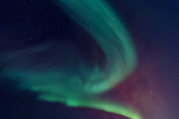 aurora borealis in green, red and purple as background 