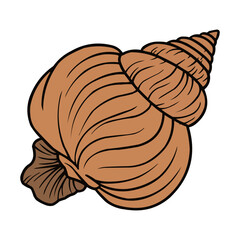Clamshell Vector, Clamshell Summer Decoration, Seashell Summer Beach Vector Design