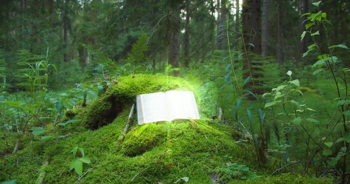 Open book Holy Bible glowing on a moss-covered fallen tree in a forest, light filtering through the trees. Religious background.