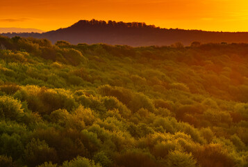 Forests of Romania. Aerial wide landscape photo of an amazing orange sunrise golden light over a...