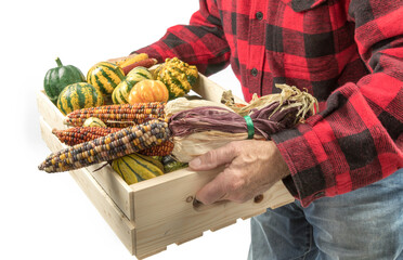 a farm worker in a red lumberjack shirt carrying a wooden crate full of gourds and a pumpkin...