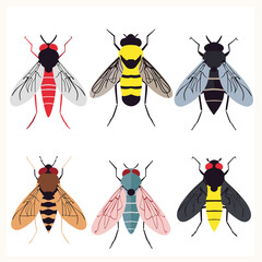 Six stylized insects illustrated colorful design graphic. Flat design bee, fly, insects vector art collection isolated. Entomology study educational material, insect identification chart