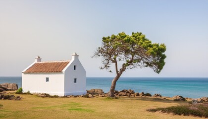 white cottage next to a lone tree at the sea