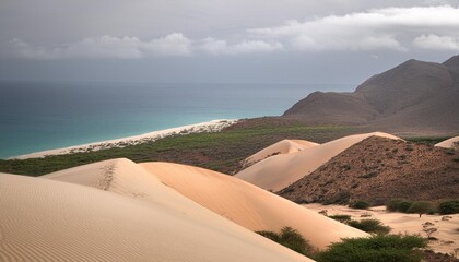 sand dunes along the south coast of socotra yemen taken in november 2021