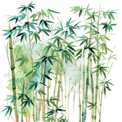 Watercolor of a tranquil bamboo forest symbolizing tranquility in nature in vintage styles, clipart watercolor easy detail on white background