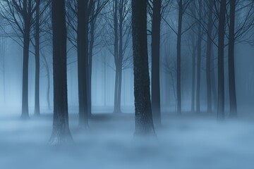 Obraz premium Misty Forest Filled With Trees