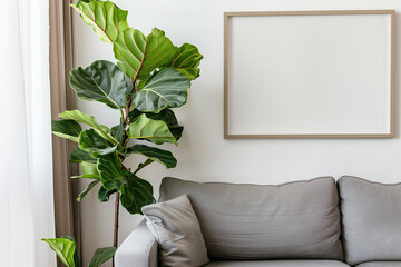 A large fiddle leaf fig plant in the corner of an empty living room with grey couch, white walls and a wooden picture frame on wall above sofa, close up shot, interior design photography, green plants