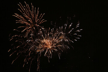 fireworks in the night sky