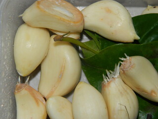 Macro photos or close-up photos of cooking ingredients in the kitchen and can also be used as food flavorings