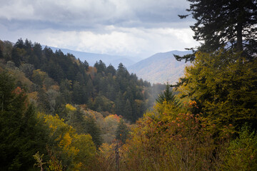Smoky Mountains with low clouds