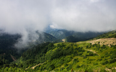 The natural background is beautiful green hills with a white cloud and a copy space on Krasnaya Polyana in Russia