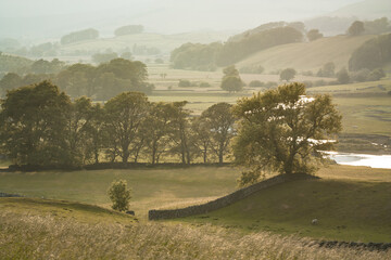 landscape in Yorkshire Dales