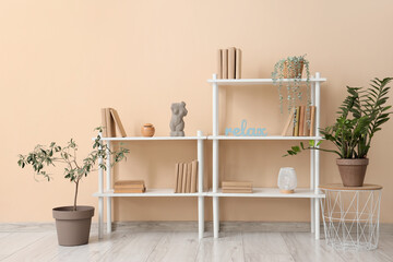 Shelf units with books and plants near beige wall in room
