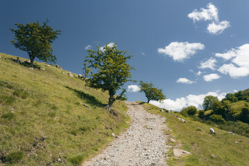 path in the mountains in the Yorkshire Dales