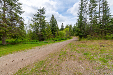 Fototapeta premium A narrow dirt and gravel road through forest hills in the rural mountain panhandle region of Coeur d'Alene, Idaho USA.