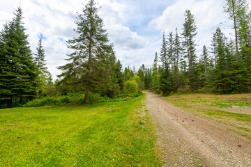 A narrow dirt and gravel road through forest hills in the rural mountain panhandle region of Coeur d'Alene, Idaho USA.