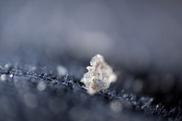 Macro of dandruff on shirt. Dandruff flakes are larger and may be yellow tinged or look oily