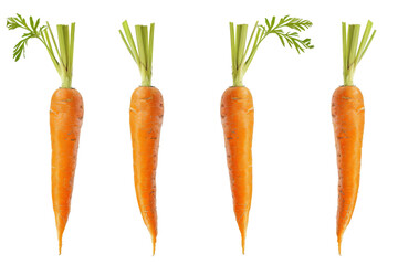 Four carrots, isolated on a white background.