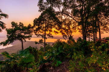 The close-up natural background of green rice fields, behind a large mountain and mist flowing through the blurred foliage, is a natural beauty seen in the countryside