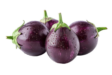 Subject: Eggplant
Aubergine, melongene, or guinea squash, is a species of flowering plants in the nightshade family
