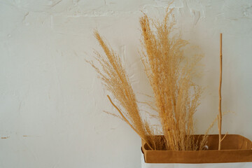 Similar dried grasses, fuller view, against white backdrop; neutral tones enhance natural, serene...