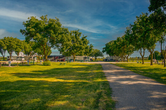 Rv motorhomes parked at campsites in the park with dirt road and trees 