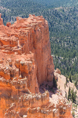 A rocky cliff with a forest in the background