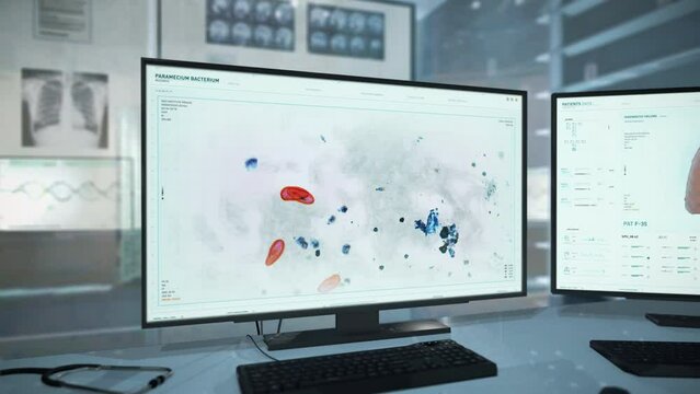 Microscopic examination of the paramecium bacterium at the laboratory. Microscopic investigation of paramecium organisms at the futuristic laboratory. Microscopic analysis of paramecium at laboratory.