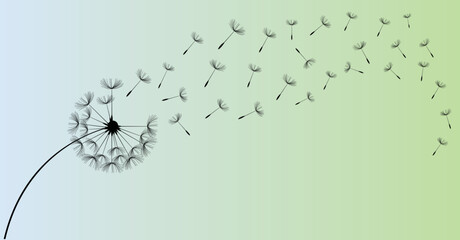 Wild flower dandelion in a vector style isolated. Vector flower for background, dandelion flying wall decal children's room 