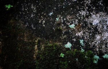 Empty white concrete texture background, abstract backgrounds, background design. Grunge interior background, grunge dirty metal background or texture.