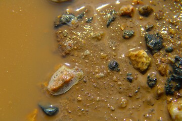 Rocks in a puddle close up