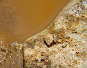 Rocks in a puddle close up