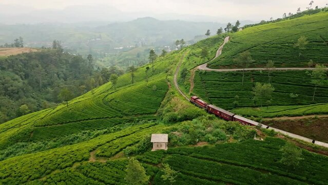 Train winds through Sri Lankan tea gardens, green leaves blanket rolling hills. Rail travel scenic landscapes, mountain views in Ceylon. Passengers experience serene journey vibrant plantations.